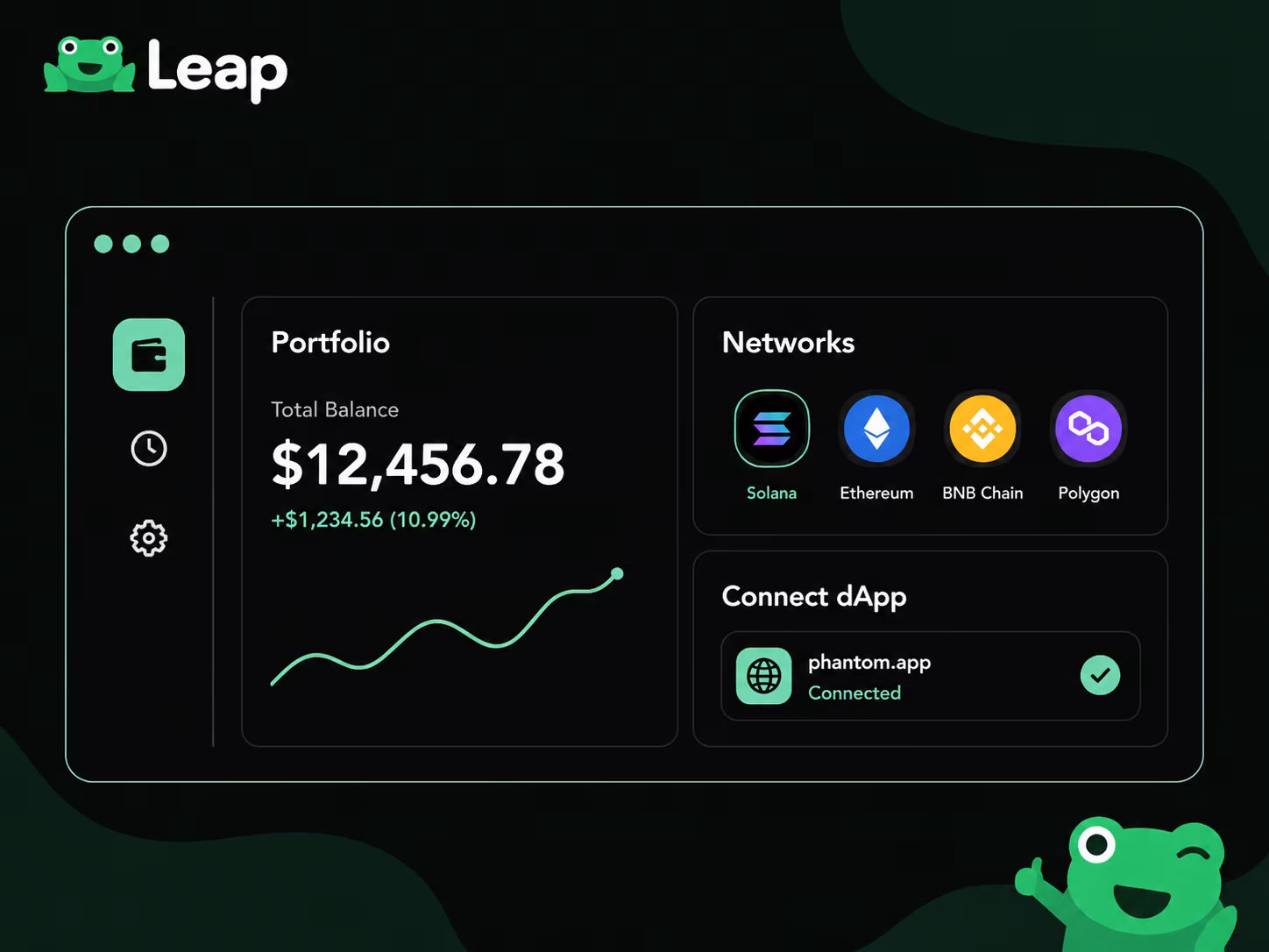 Leap Wallet browser dashboard showing portfolio networks and dApp connections
